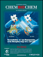 The back cover of issue